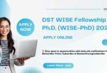 WISE Fellowship PhD (WISE-PhD) 2024