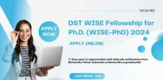 WISE Fellowship PhD (WISE-PhD) 2024