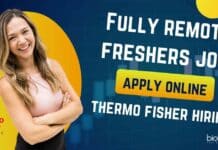Fully Remote Freshers Job