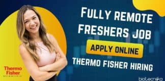 Fully Remote Freshers Job