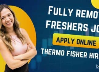 Fully Remote Freshers Job