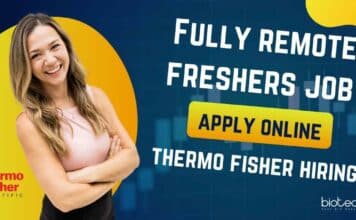 Fully Remote Freshers Job