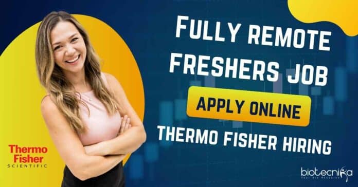 Fully Remote Freshers Job