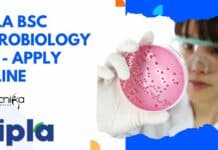 Cipla BSc Microbiology Job