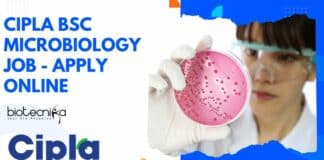 Cipla BSc Microbiology Job