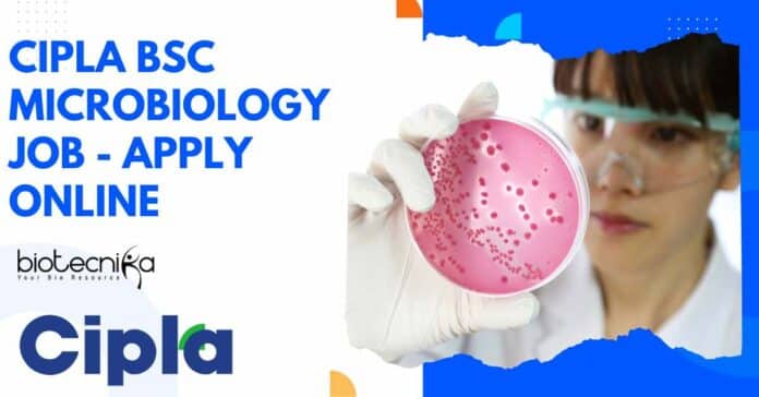 Cipla BSc Microbiology Job