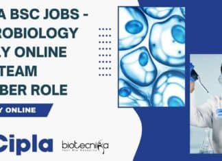 Cipla BSc Jobs – Microbiology Apply Online For Team Member Role Cipla BSc Jobs