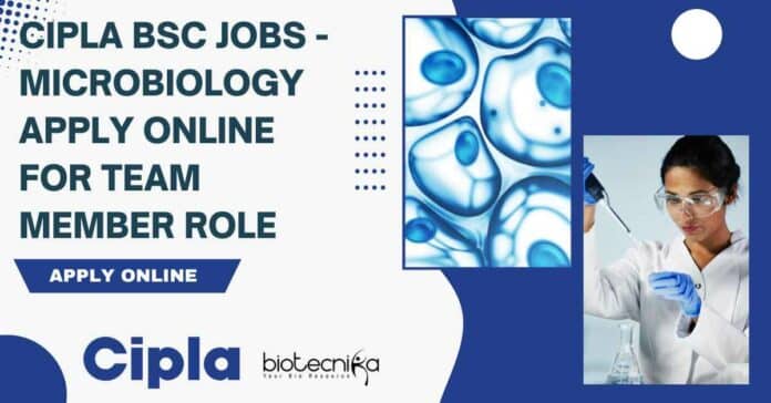 Cipla BSc Jobs