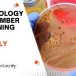 Microbiology Team Member Job Opening