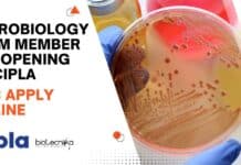 Microbiology Team Member Job Opening