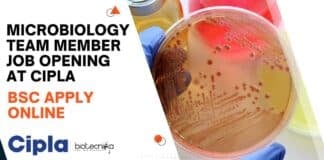 Microbiology Team Member Job Opening