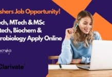 Freshers Job Opportunity