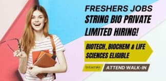 Freshers Walk-In-Interview