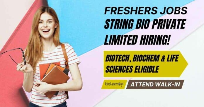 Freshers Walk-In-Interview