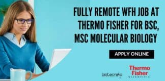 Fully Remote WFH Job at Thermo Fisher For BSc, MSc Molecular Biology - Apply Online