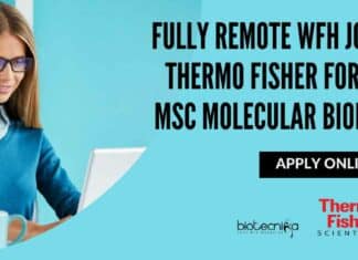 Fully Remote WFH Job at Thermo Fisher For BSc, MSc Molecular Biology – Apply Online Fully Remote WFH Job at Thermo Fisher For BSc, MSc Molecular Biology - Apply Online