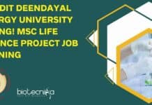 Pandit Deendayal Energy University Hiring! MSc Life Science Project Job Opening