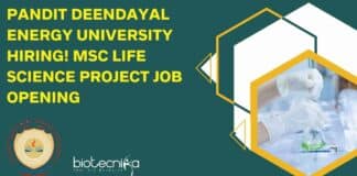 Pandit Deendayal Energy University Hiring! MSc Life Science Project Job Opening