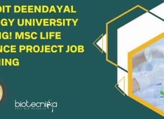Pandit Deendayal Energy University Hiring! MSc Life Science Project Job Opening Pandit Deendayal Energy University Hiring! MSc Life Science Project Job Opening