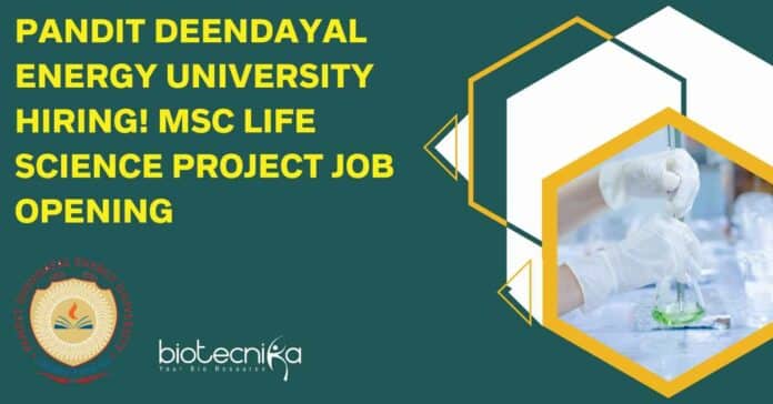 Pandit Deendayal Energy University Hiring! MSc Life Science Project Job Opening