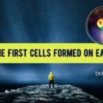How the First Cells Formed on Earth