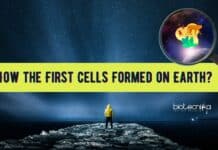 How the First Cells Formed on Earth