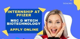 Biotechnology Internship at Pfizer