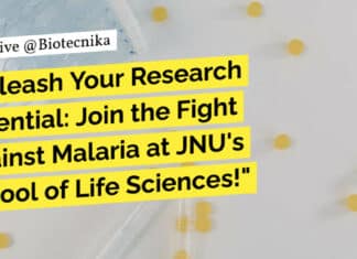 JNU PhD Biological Sciences Research Associate Job Opening – Apply Online JNU PhD Biological Sciences Research Associate Job Opening - Apply Online