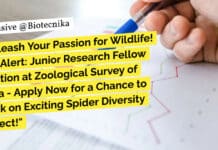 "Unleash Your Passion for Wildlife! Job Alert: Junior Research Fellow Position at Zoological Survey of India - Apply Now for a Chance to Work on Exciting Spider Diversity Project!"