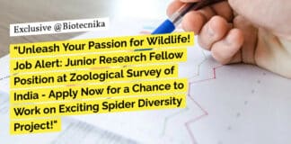 "Unleash Your Passion for Wildlife! Job Alert: Junior Research Fellow Position at Zoological Survey of India - Apply Now for a Chance to Work on Exciting Spider Diversity Project!"