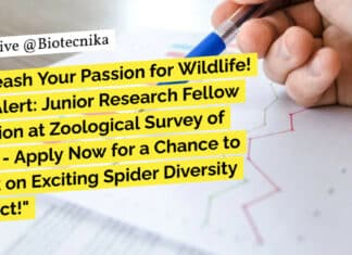 Govt ZSI Life Sciences & Zoology JRF Walk-In-Interview "Unleash Your Passion for Wildlife! Job Alert: Junior Research Fellow Position at Zoological Survey of India - Apply Now for a Chance to Work on Exciting Spider Diversity Project!"