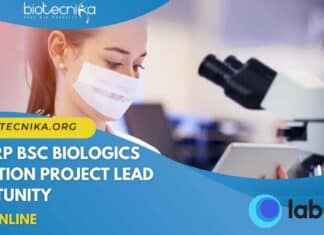 Labcorp BSc Biologics Validation Project Lead Opportunity – Apply Online Labcorp BSc Biologics Validation
