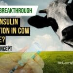 Human Insulin Can Be Produced in Cow Milk
