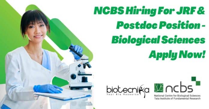 NCBS Hiring For JRF