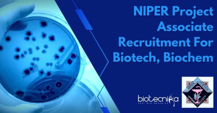 NIPER Project Associate Recruitment