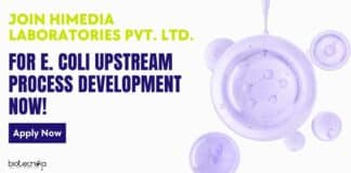 HiMedia Labs Upstream Process