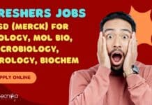 Freshers Jobs at MSD (Merck)