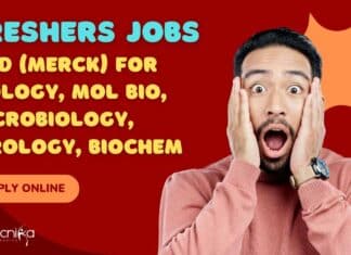 Freshers Jobs at MSD (Merck)