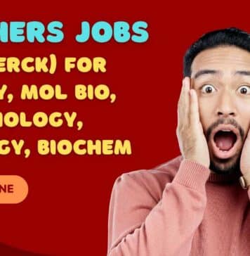Freshers Jobs at MSD (Merck)