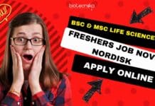 Freshers Jobs Novo Nordisk