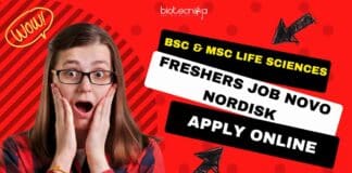 Freshers Jobs Novo Nordisk