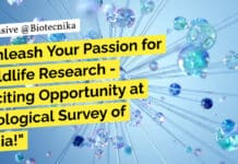 "Unleash Your Passion for Wildlife Research - Exciting Opportunity at Zoological Survey of India!"