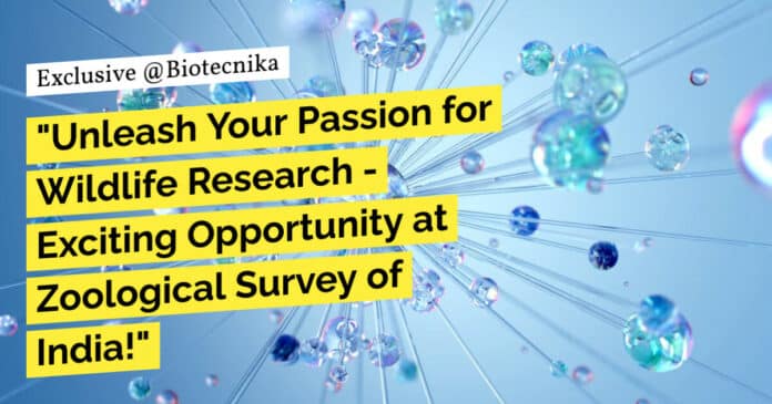 "Unleash Your Passion for Wildlife Research - Exciting Opportunity at Zoological Survey of India!"