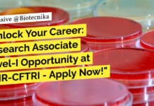 "Unlock Your Career: Research Associate Level-I Opportunity at CSIR-CFTRI - Apply Now!"