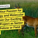 Zoological Survey of India BSc & MSc Life Science Walk-In-Interview For Research Job "Unleash Your Passion for Entomology and Molecular Biology! Join Our Exciting Research Project as Senior Research Fellow or Field Assistant"