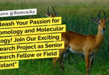 "Unleash Your Passion for Entomology and Molecular Biology! Join Our Exciting Research Project as Senior Research Fellow or Field Assistant"