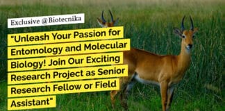 "Unleash Your Passion for Entomology and Molecular Biology! Join Our Exciting Research Project as Senior Research Fellow or Field Assistant"