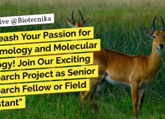 Zoological Survey of India BSc & MSc Life Science Walk-In-Interview For Research Job "Unleash Your Passion for Entomology and Molecular Biology! Join Our Exciting Research Project as Senior Research Fellow or Field Assistant"
