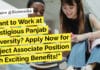 Want to Work at Prestigious Panjab University? Apply Now for Project Associate Position "Want to Work at Prestigious Panjab University? Apply Now for Project Associate Position with Exciting Benefits!"