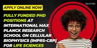 International Max Planck Research